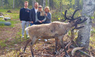 Talkeetna reindeer grove 8
