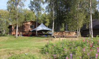 Talkeetna reindeer grove1