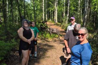 Talkeetna reindeer grove 16