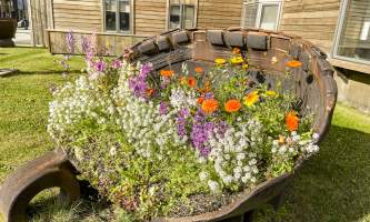 Running Fox Tour Co IMG 0592 Carol Hobbs