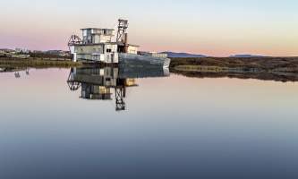 Running Fox Tour Co IMG 1625 Carol Hobbs