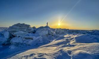 Running Fox Tour Co IMG 2062 Carol Hobbs