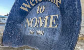 Running Fox Tour Co IMG 2090 Carol Hobbs