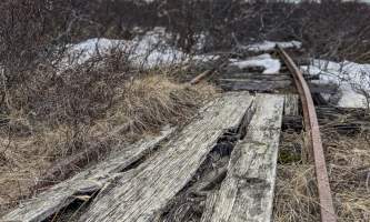 Running Fox Tour Co IMG 2792 Carol Hobbs