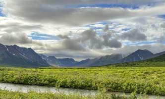 Running Fox Tour Co IMG 3472 Carol Hobbs