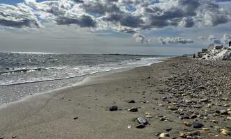 Running Fox Tour Co IMG 3475 Carol Hobbs