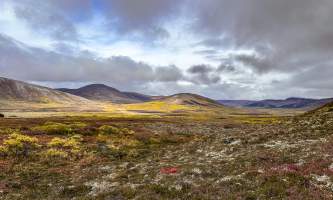 Running Fox Tour Co IMG 4136 Carol Hobbs