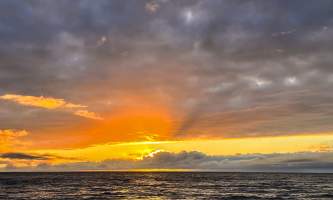 Running Fox Tour Co IMG 4627 Carol Hobbs