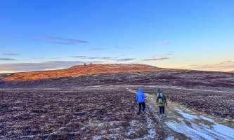 Running Fox Tour Co IMG 4644 Carol Hobbs