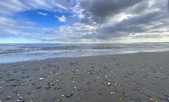 Running Fox Tour Co IMG 6782 Carol Hobbs