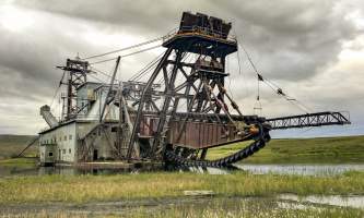 Running Fox Tour Co IMG 6988 Carol Hobbs