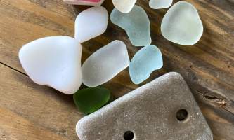 Running Fox Tour Co IMG 7052 Carol Hobbs