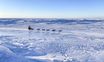 Running Fox Tour Co IMG 8577 Carol Hobbs