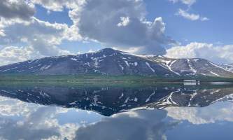 Running Fox Tour Co IMG 9732 Carol Hobbs