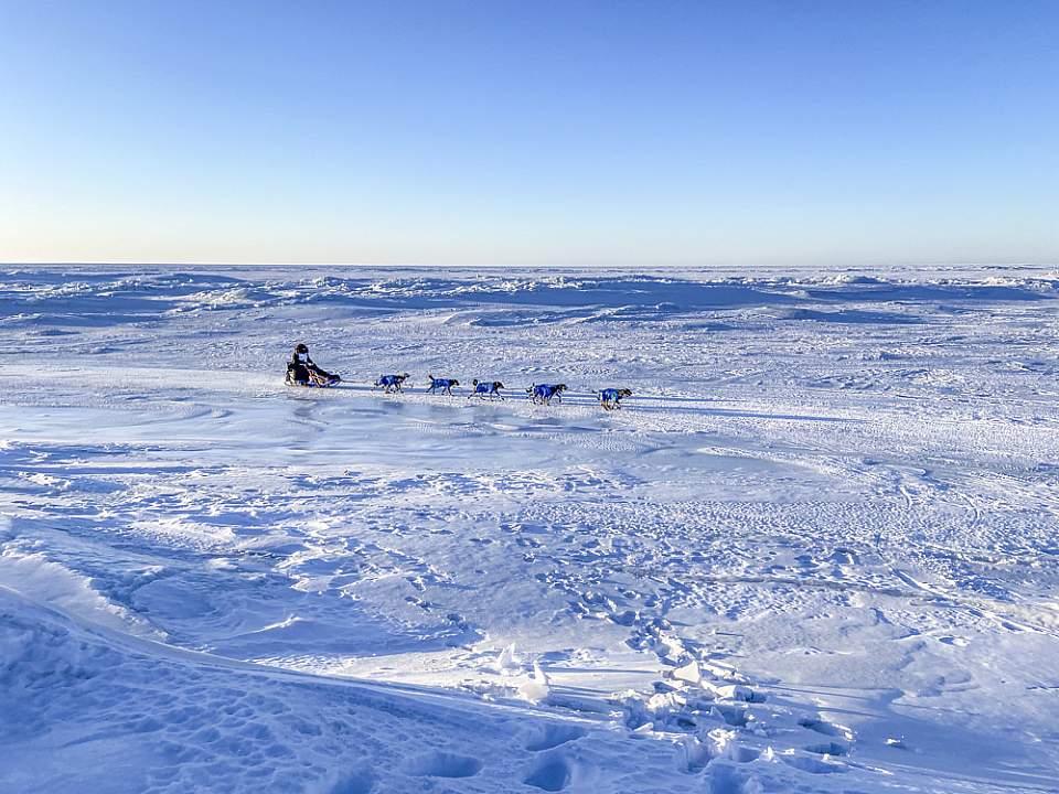 Dog mushers during the Iditarod Sled Dog Race