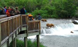 KAT 3530 alaska rusts bear viewing anchorage