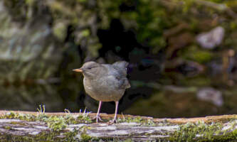 SEAK Day Tours 400654604 10160337217317739 7787743139479849778 n