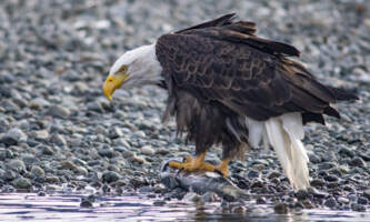 SEAK Day Tours DSC 0870