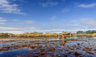 SEAK Day Tours FNO 061892 copy