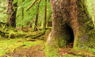 SEAK Day Tours FNO 063775 copy 3