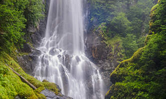 SEAK Day Tours FNO 066011