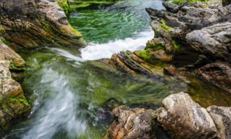 SEAK Day Tours FNO 098848