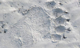 SEAK Day Tours IMG 2201