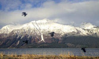 SEAK Day Tours IMG 4398