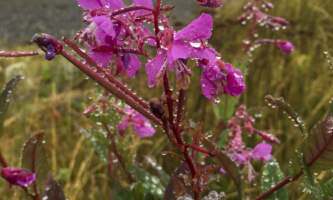 SEAK Day Tours IMG 7078