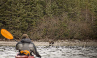 SEAK Expeditions400673274 10160337217092739 7434350697199809670 n copy