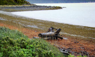 SEAK Expeditions Chilkat Inlet 2