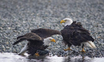 SEAK Expeditions DSC 0848