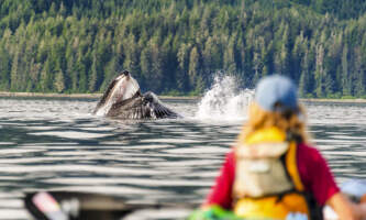 SEAK Expeditions FNO 067579 copy 2