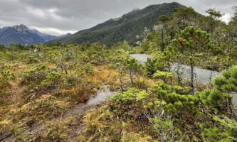 Sitka walkig tours 9 Sitka Walking Tours