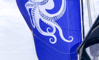 Sailaway Alaska octopus 2 Chris Reynolds