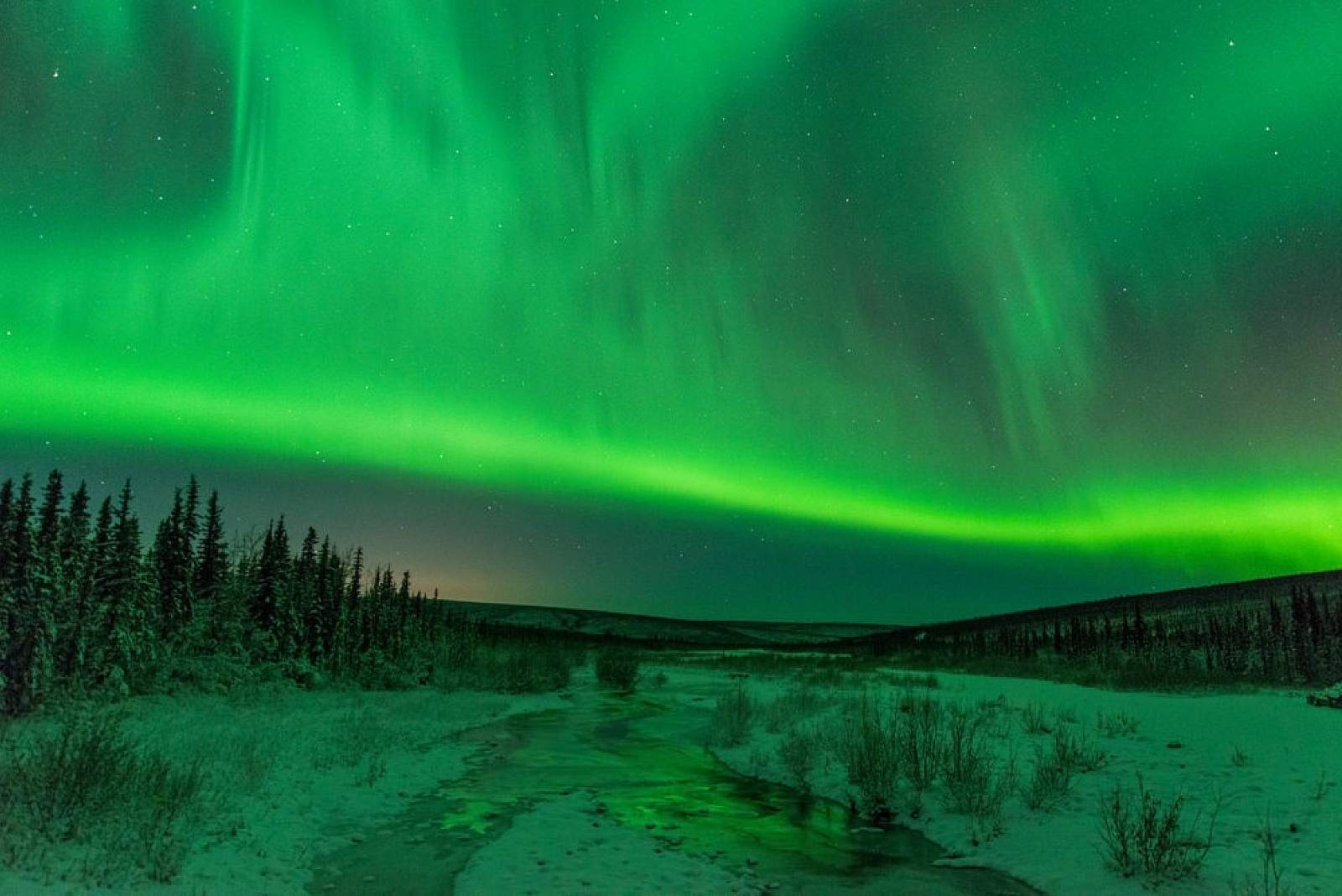 Salmon Berry Tours Northern Lights Excursions …