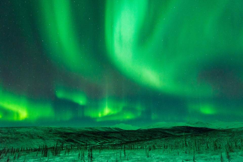 Vibrant green Northern Lights dance in the night sky above the Alaska landscape.