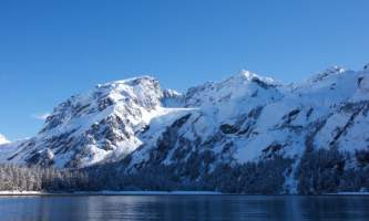 Seward ocean excursions 16