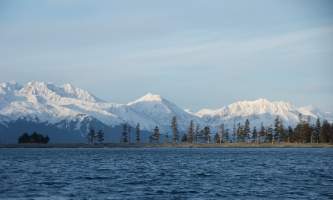 Seward ocean excursions 18