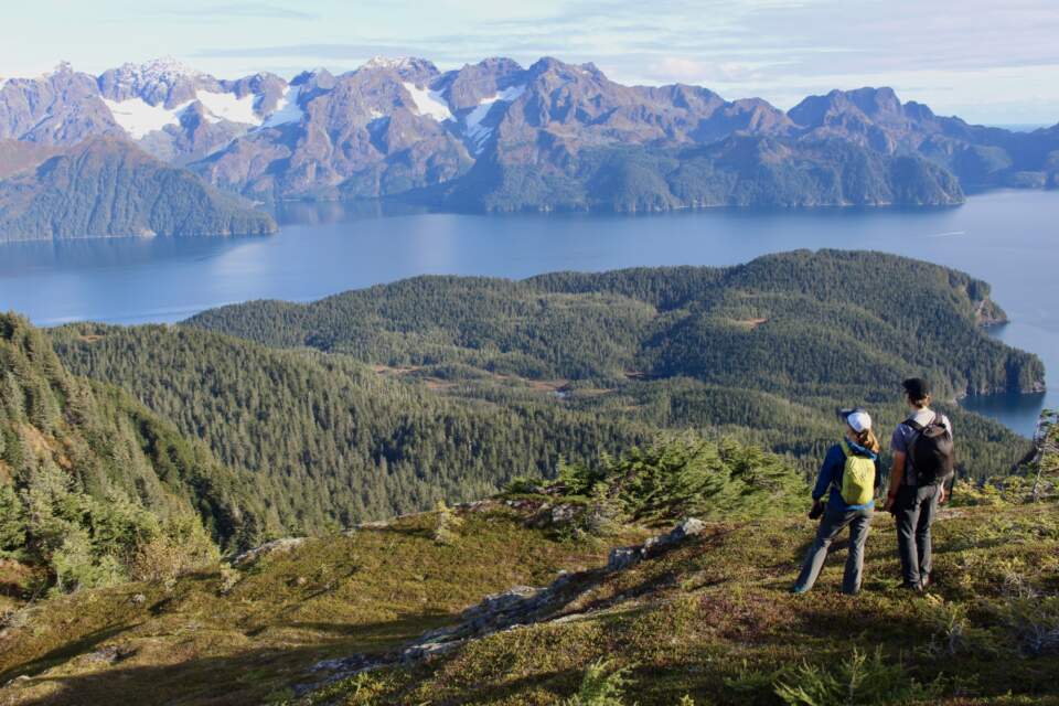 Hike to a stunning overlook of coastal fjords on the Alpine Trail Day Trip