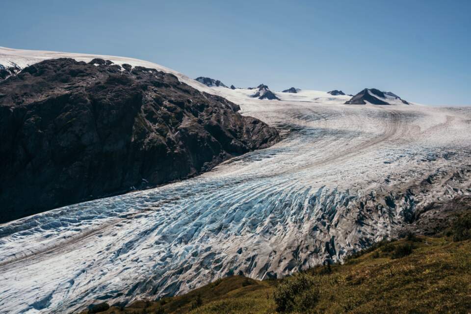 Learn how flora and fauna are adapting to a changing world as you take in majestic views on the Exit Glacier Half Day