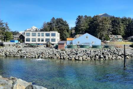 Sitka Sound Science Center