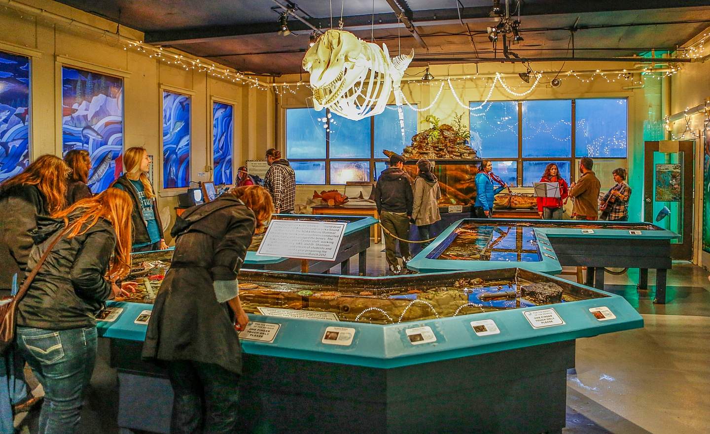 People explore sealife touch tanks at the Sitka Sound Science Center.