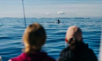 Sitka wonders day tours 5