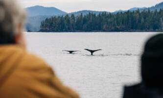 Sitka wonders photography tours 5