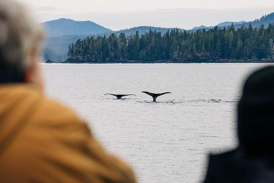 Sitka wonders photography tours 5