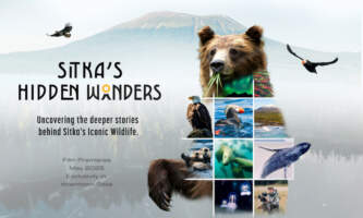 Sitkas Hidden Wonders SHW Bear Horizontal Ben Hamilton