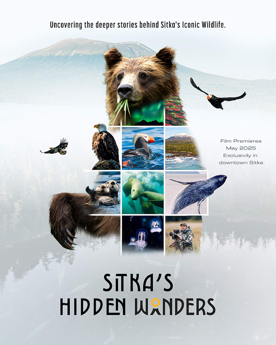 Sitkas Hidden Wonders SHW Bear Poster Vertical Ben Hamilton