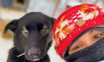 Snowhook Adventure Guides Dog Sledding PSX 20211215 183650