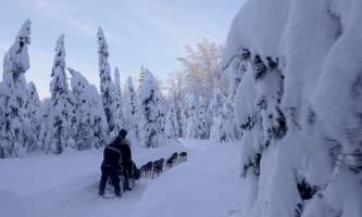 Snowhook Adventure Guides Dog Sledding Video Capture 20230427 213446
